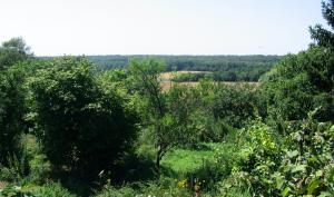 Vue de jardin.